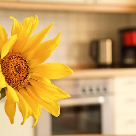 Appartement Haus Sarah 4 Am Lorenweg 10